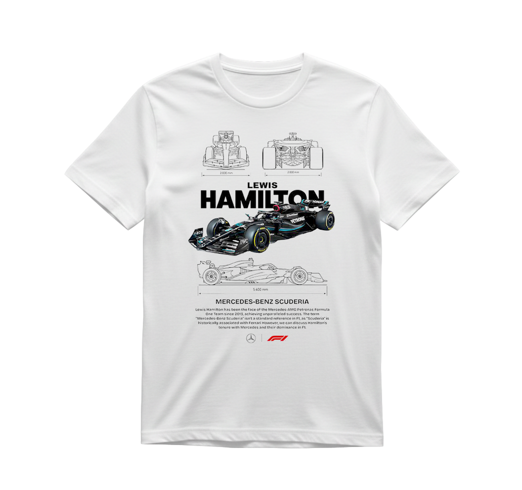 Formula Hamilton